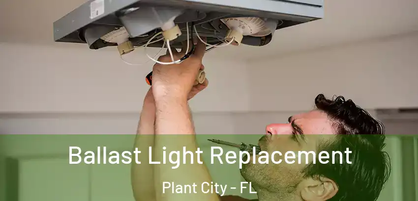  Ballast Light Replacement Plant City - FL