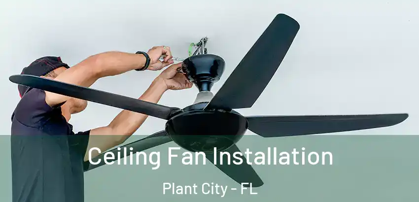 Ceiling Fan Installation Plant City - FL