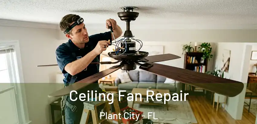 Ceiling Fan Repair Plant City - FL