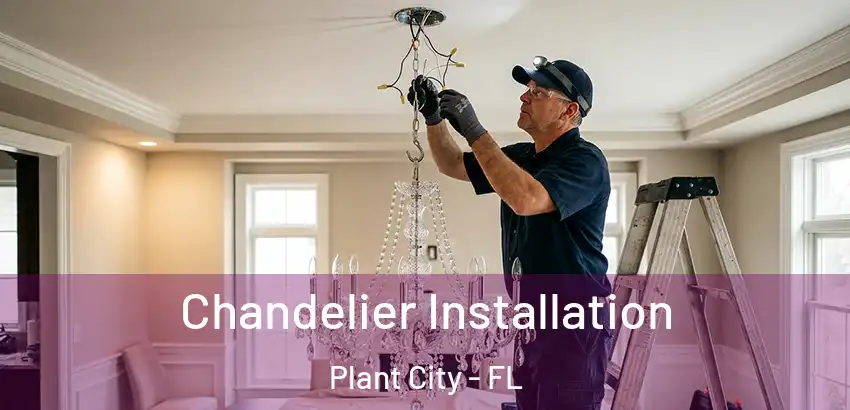  Chandelier Installation Plant City - FL