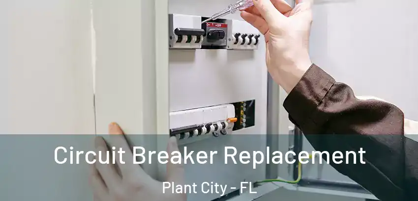  Circuit Breaker Replacement Plant City - FL