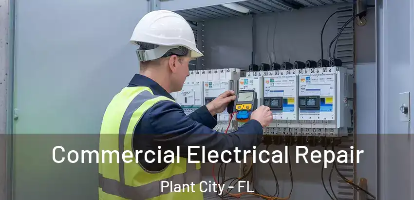  Commercial Electrical Repair Plant City - FL