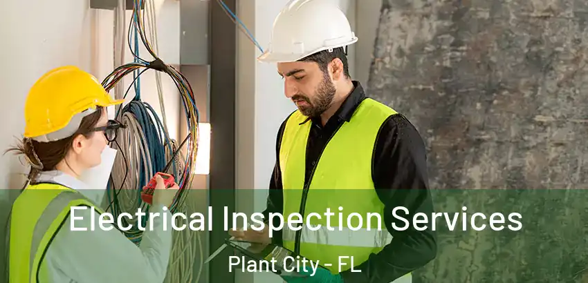 Electrical Inspection Services Plant City - FL
