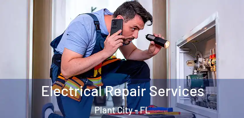 Electrical Repair Services Plant City - FL