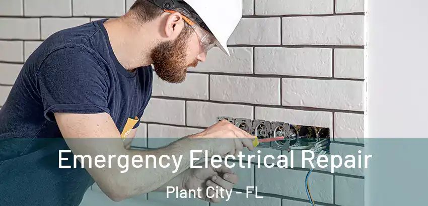 Emergency Electrical Repair Plant City - FL