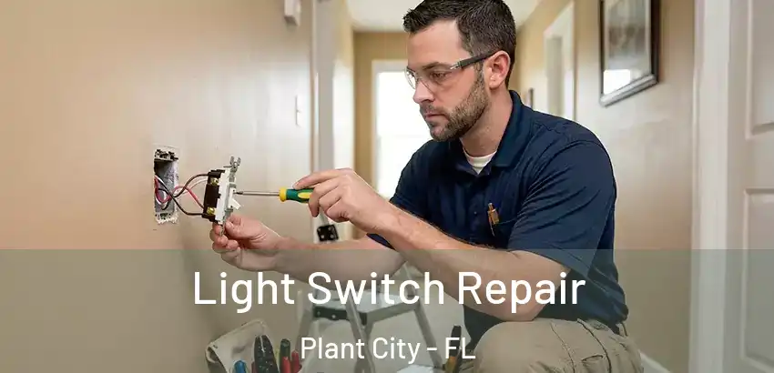 Light Switch Repair Plant City - FL