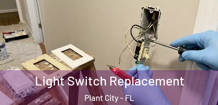  Light Switch Replacement Plant City - FL
