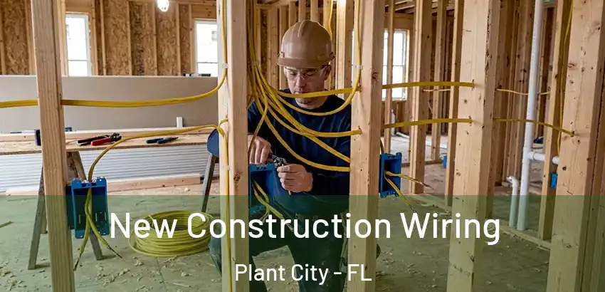  New Construction Wiring Plant City - FL