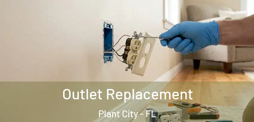  Outlet Replacement Plant City - FL