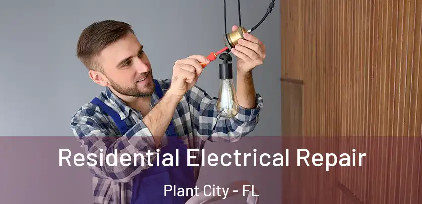  Residential Electrical Repair Plant City - FL