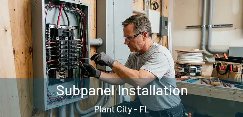  Subpanel Installation Plant City - FL