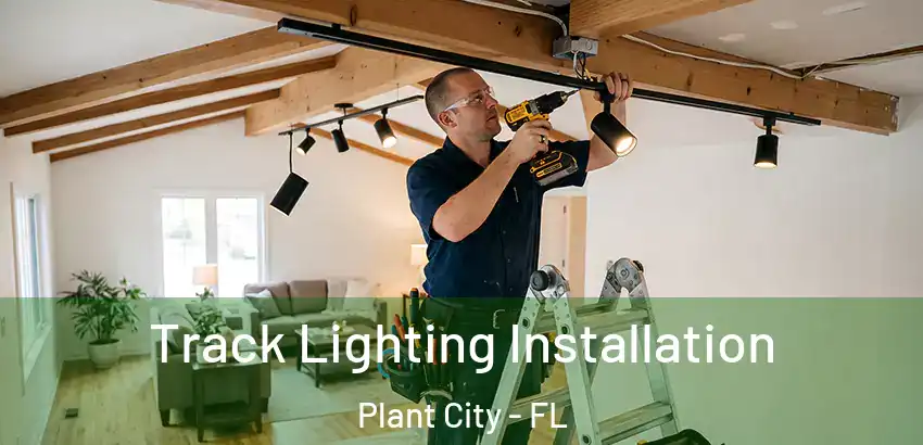 Track Lighting Installation Plant City - FL