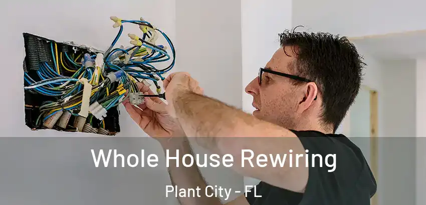  Whole House Rewiring Plant City - FL