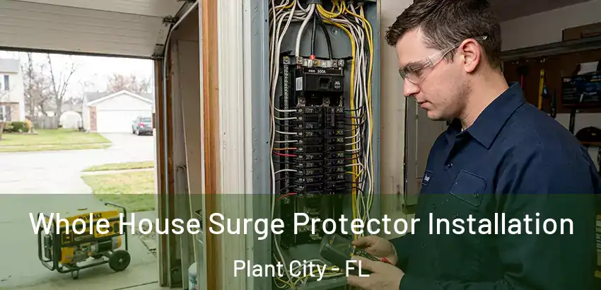  Whole House Surge Protector Installation Plant City - FL